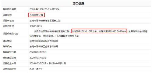 爆料最新项目是什么,行业颠覆者即将亮相
