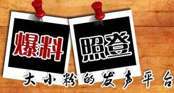 湘新闻爆料,揭秘某神秘事件背后真相  第1张